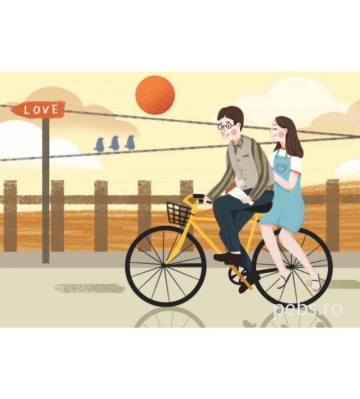 Love Bike Couple imagine