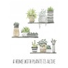 A home with plants is alive imagine