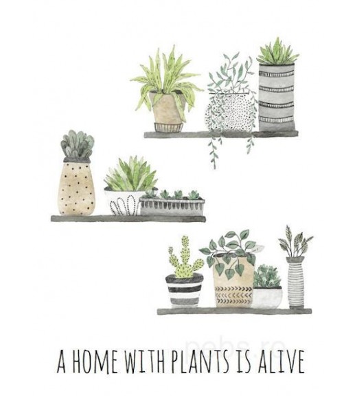 A Home With Plants Is Alive image