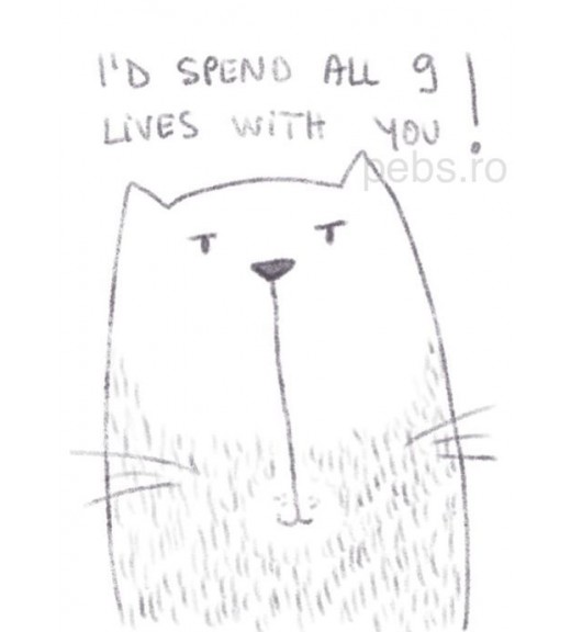 Nine Lives With You
